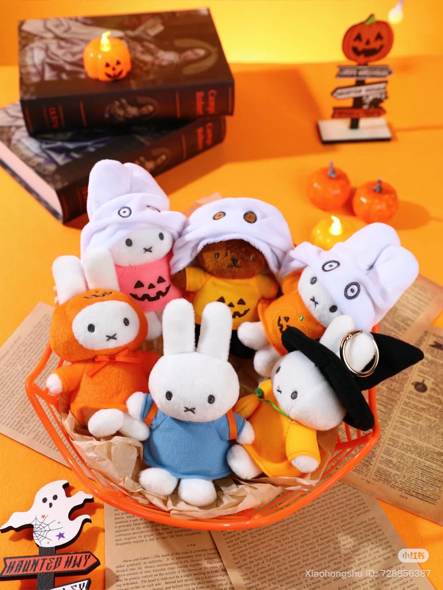 Miffy Halloween Plush Pendant Series Blind Box