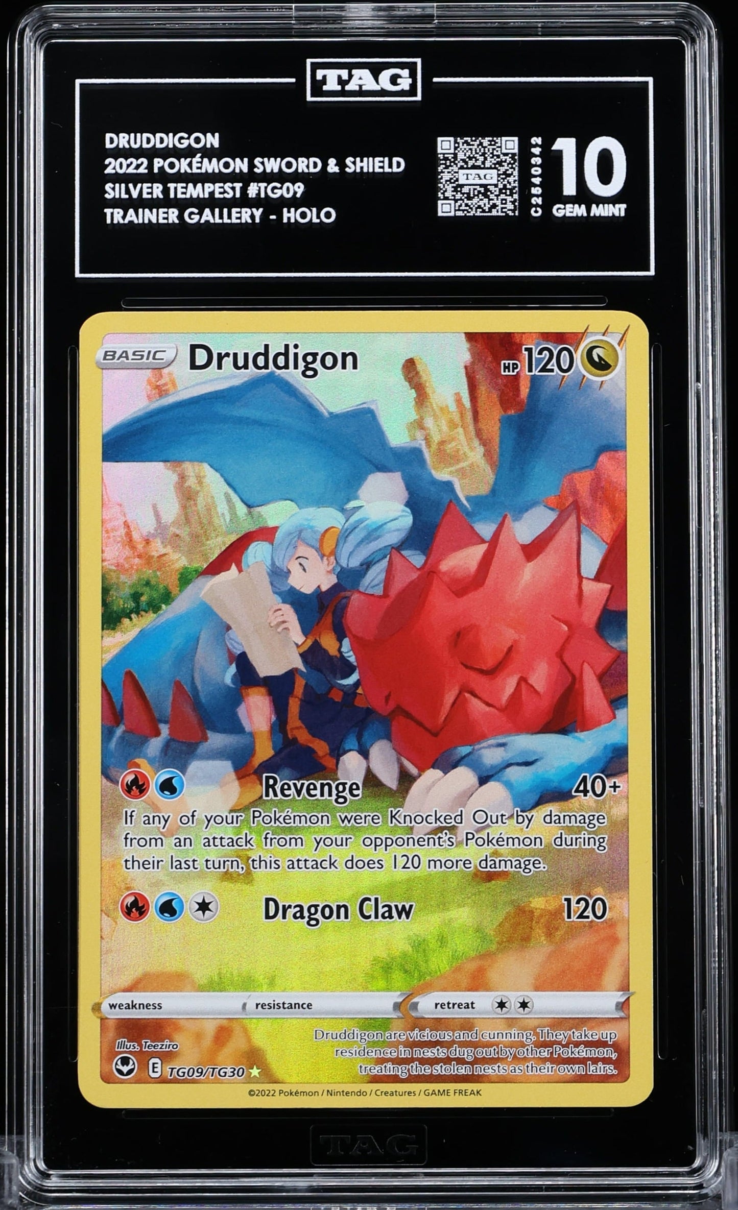 TAG 10 - Silver Tempest - Druddigon #TG09