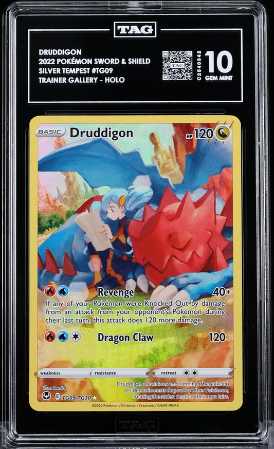 TAG 10 - Silver Tempest - Druddigon #TG09
